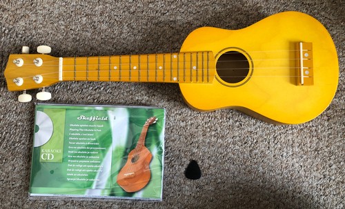 Ukulele set includes pick - includes,