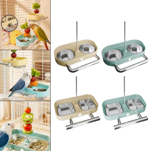 Parrot feeding station double - parrot,