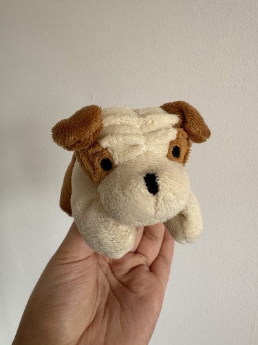 Adorable small english bulldog - adorable,