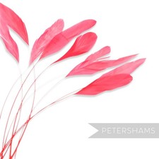 Loose Stripped Coque Feathers