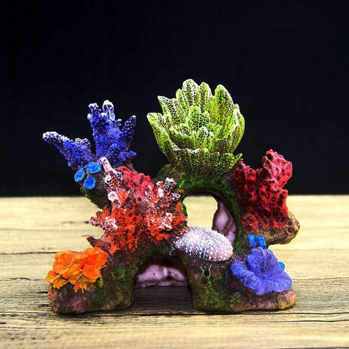 Reef tank accessories - accessories, aquarium