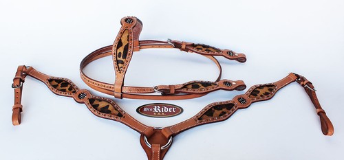 Show tack bridle western - bridle,