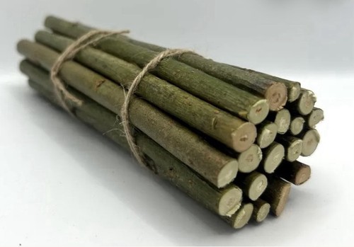 Freshly picked willow sticks - freshly,