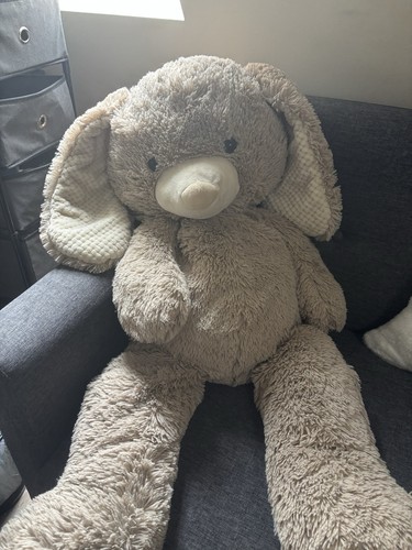 Large rabbit teddy evri - large,