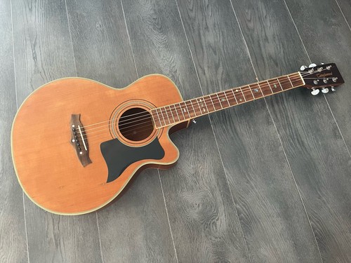 Tanglewood tw45 - tw45,,
