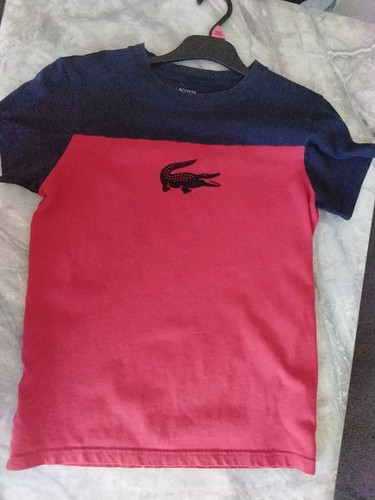 Lacoste boys shirt 176cm - lacoste, boys'