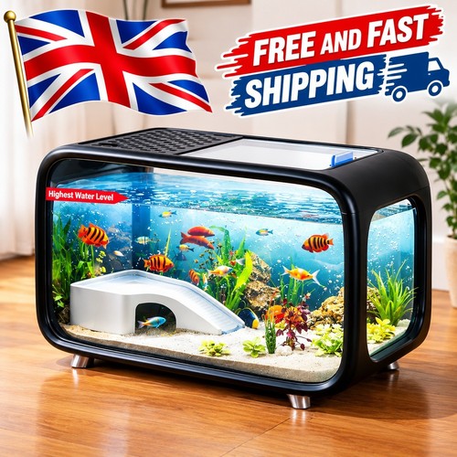 Compact betta fish - compact, kit