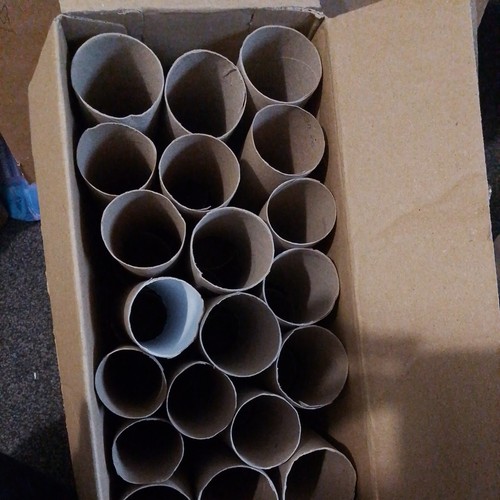 Empty cardboard toilet - empty,