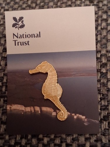 National trust studland bay - trust,