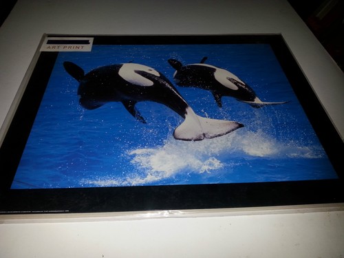 Classic art print ref - classic, killer