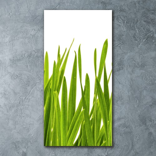 Wall art print perspex - print, perspex®