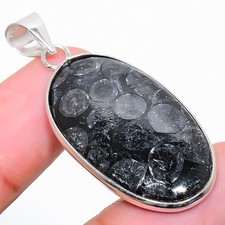 Natural fossil coral gemstone - coral,