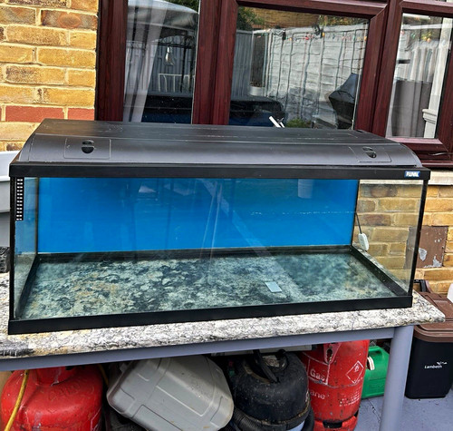 Fluval glass fish tank - tank, black