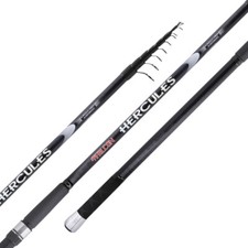 Fishing Rod English Tremarella