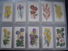 CARRERAS BLACK CAT FULL SET IN SLEEVES - FLOWERS ALL THE YEAR ROUND