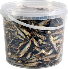 Hungry Pets Fish Sprats 5L Tub | Natural Grain Free Omega 3 Dog Treats Bulk Pack