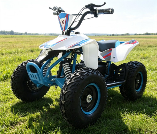 Beast motorsport 36v 800w - beast,