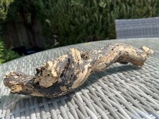 37cm GNARLED DRIFTWOOD LOG