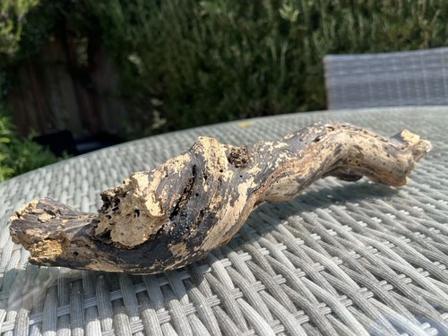 37cm gnarled driftwood log - driftwood,
