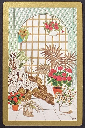 Indoor house plants vintage - plants,