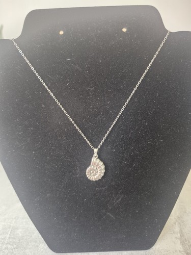 Silver colour metal fossil - silver,
