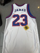 Tune Squad Nike NBA Jersey