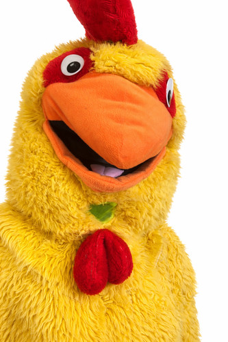 Fluffy chicken mascot - chicken, costume