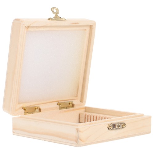 Slide storage case - case, laboratory
