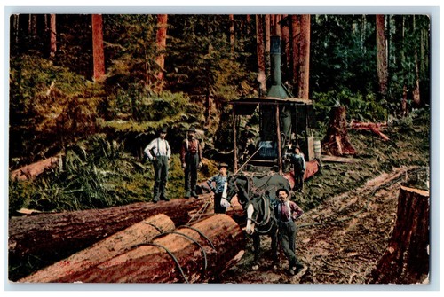 C1950 logging big - c1950,