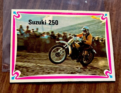Suzuki 250 joel robert - robert, hot