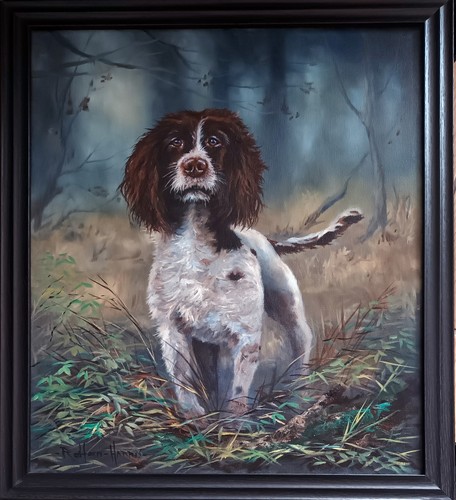 Springer spaniel painting - springer,