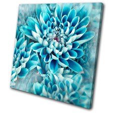 Floral Zinnia blue flower  SINGLE CANVAS WALL ART Picture Print VA