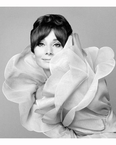 Audrey hepburn photo 8x10 - photo,