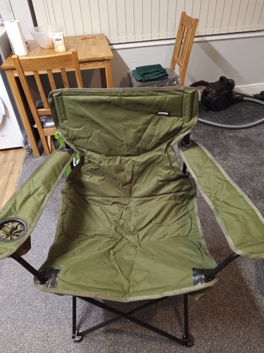 Adobe fishing carp - carp, chair