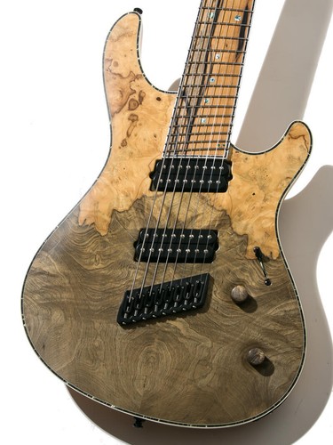 Mayones regius buckeye - vf, 8