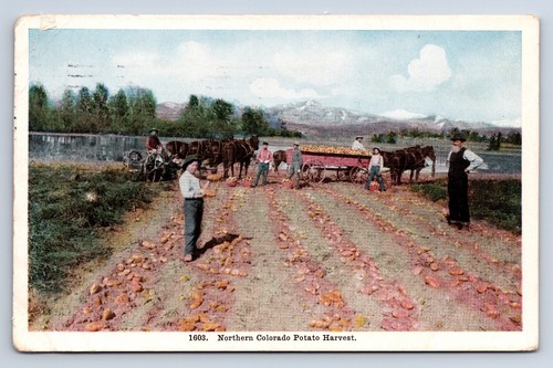 Vintage postcard northern - postcard,
