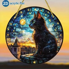 Black Cat on Rooftop Under