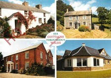 Picture Postcard__Cottages