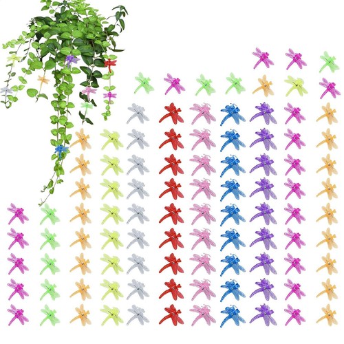 100x butterfly orchid support - butterfly,