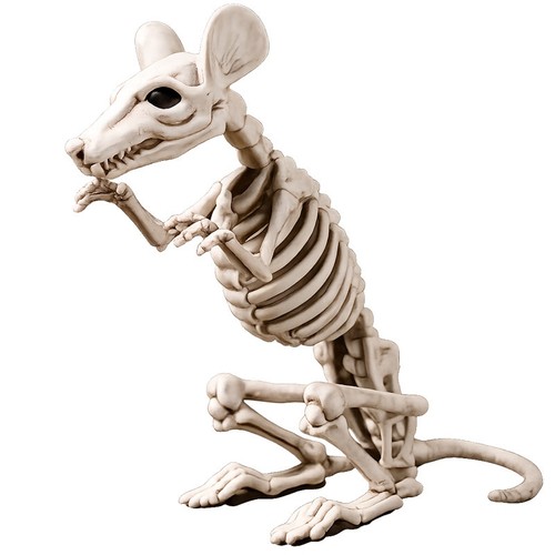 Giant 30cm rat skeleton - giant,