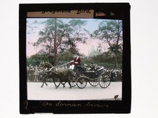 Royal Procession Horse Drawn