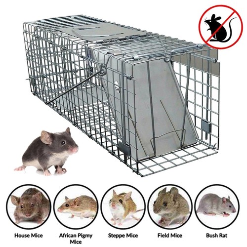 Large metal squirrel - large, cage