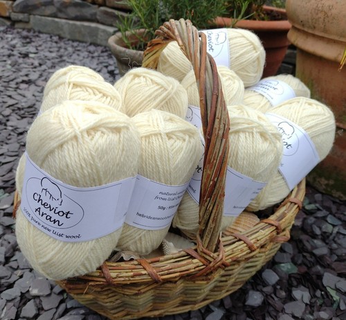 Cheviot pure breed natural - cheviot,