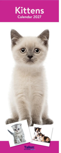 2027 kittens month - kittens, view