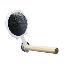 Bird Mirror with Perch Chewing