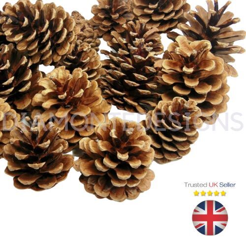 Premium quality new season - premium,