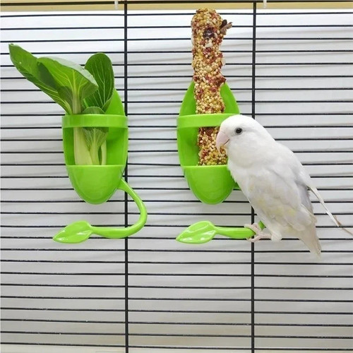 Plastic bird feeding - bird, holder