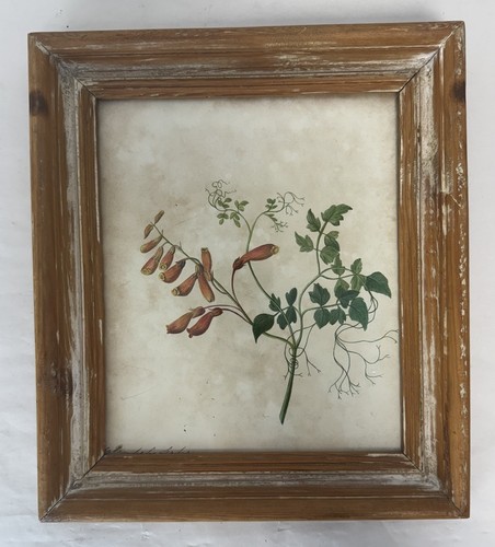 Original late 19th - 19th, early