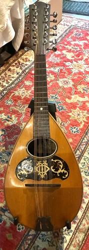 Mandriola string mandolin - mandriola-12,