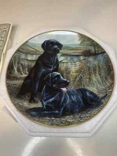 “Paws” By The Pond